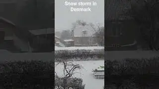 Snow storm in Denmark. I decided to just stay and work from home. 