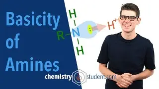 Amines - Basicity (A-level Chemistry)