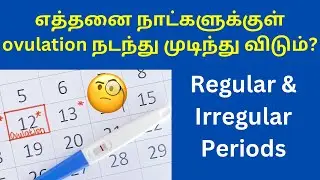 எத்தனை நாட்களுக்குள் ovulation நடந்தே முடிந்து விடும்?🧐 | How to find Ovulation days in tamil