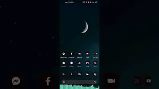 Xiaomi 11 Lite 5G NE RiceDroid Android 13 ROM