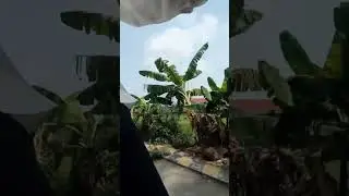 kegiatan disiang hariku