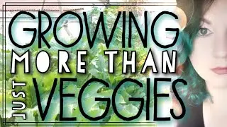 What Does The Garden Mean To You