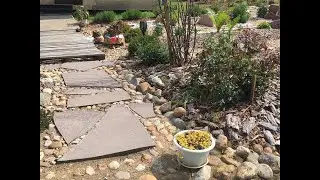 ОБЗОР САДА ИЮНЬ 2023 / СОРТА ЖИМОЛОСТИ