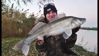 Smudjevi na gomili