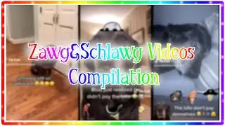 Zawg&Schlawg Videos Compilation || #zawgandschlawg