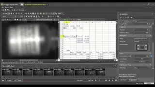 Cognex - In-Sight Vision Suite Contador en hoja de calculo, autofocus habilitar celdas IS2800 IS3800