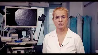 РКК22 4  01.12.22 Онлайн трансляция на ЭндоЭксперт.ру