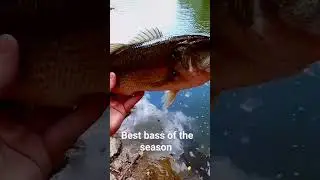 #fishing #bassfishing #fishingequipment #fishinggear #bass #fyp #like #shorts #shorts #iowa