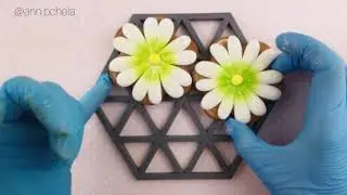 Пряник Ромашка. Мастер-класс по пряникам. Cookies with icing. Decorated cookies.