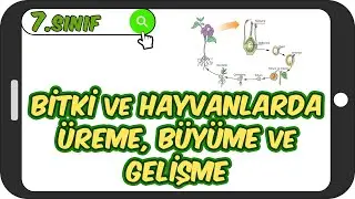 Bitki ve Hayvanlarda Üreme, Büyüme ve Gelişme 📗 7.Sınıf Fen 