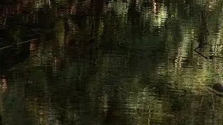 Troubled Water - Trailer