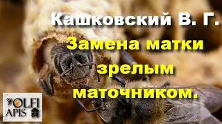 #Кашковский