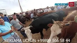 ‪@boston95‬