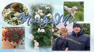 Море лучший депрессант.Табрис в Анапе. Госуслуги, как всегда на высоте.