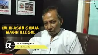Alasan ganja masih ilegal