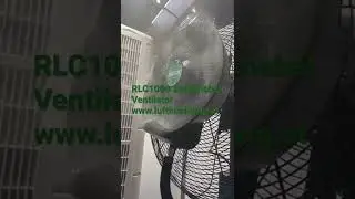 Sprühnebel Ventilator RLC 1000 Rauch Original