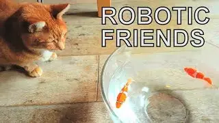 Alvi cat : robotic fish in water bowl
