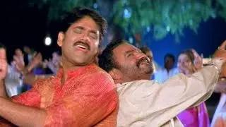 Seetaramaraju Movie || Changure Changure Video Song || Nagarjuna,Harikrishna