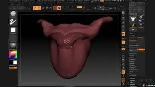 50 | ZBrush 2018 - Процесс работы Sculptris Pro | Introduction to ZBrush