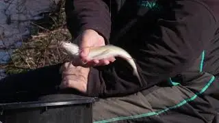 Зимен излет на река Стара речка