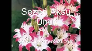 Sezen Aksu - Unut - http://www.cicekmerkezi.com