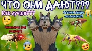 ЧТО ДАЮТ НОВЫЕ ПРИЯТЕЛИ??? СВЕТЛЯК ТЕПЕРЬ БЕСПОЛЕЗЕН?! НАСКОЛЬКО ОПАСНА ОСА?!?! Wildcraft