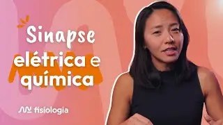 REVISÃO SINAPSE ELÉTRICA vs SINAPSE QUÍMICA | MK Fisiologia