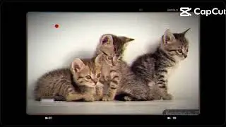 Tiny Love DVD Magiq (маленькие фрагменты)