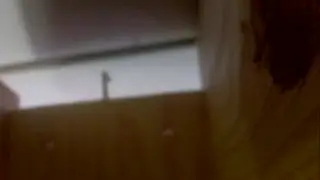 Vogelhaus Livestream