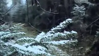 Целитель Пантелеимон ("Святые", ТВ3)
