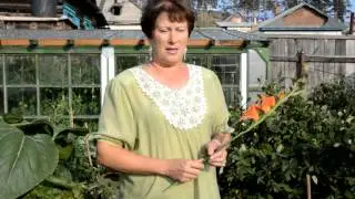 Глазное отделение ЖД больницы Улан-Удэ - медсестра Алена Мацияко ЛВРЗ