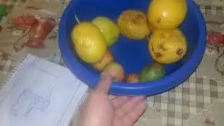 Chácara a noite