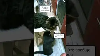 Бумер 2.0