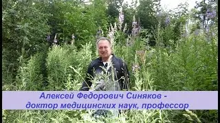 Как спастись от негативных воздействий