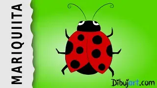 Cómo dibujar una Mariquita paso a paso con dibujart