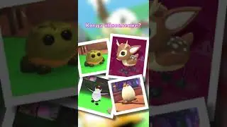 Неужели обновление уже через 2 дня?! 😱 