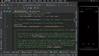 13 - The Stateless Widget in Flutter