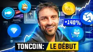 J'ACHETE ces 6 PEPITES sur $TON ! [ TONCOIN ]