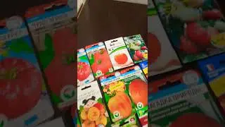 Обзор Семян Томатов/Крупноплодные сорта Помидоров🍅🍅🍅 #tomato #томаты#сорта