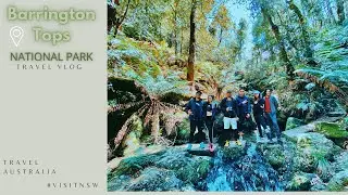 Barrington Tops, A Travel Vlog Visit NSW, Discover Australia