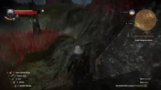 Wiedźmin 3 -   Drunk Doc.