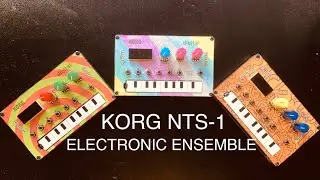 The random mini synth family #13: They Insist (Korg Nts-1)