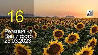 Майк Топтыгин Реакции на Ваши фото 16