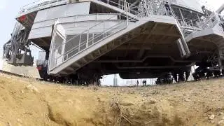Суслик на старте космодрома