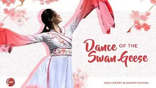 Dance of the Swan Geese (CBF)
