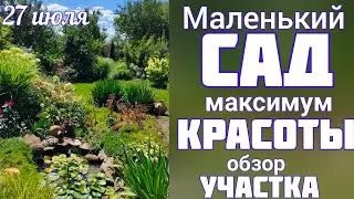 ЦВЕТЕНИЕ сада 🌞 27 июля 🌞 ПРОГУЛКА + КУЧА полезных СОВЕТОВ