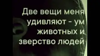 «Две вещи меня удивляют…..»