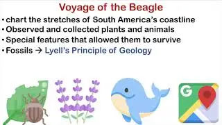 Evolution Part 3: Darwin's Theory of Evolution | Voyage of the Beagle | Misconceptions on Evolution