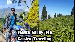 Darjeeling Tour || Teesta Valley Tea Garden Traveling.