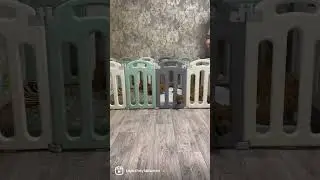 #пудель
